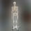 Макет скелета человека 170 см на роликовой подставке  Вид 1
