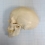 Макет черепа A20  Вид 3