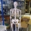 Модель скелета человека A10  Вид 3