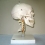 Модель черепа на шейном отделе позвоночника, арт. A20/1  Вид 2
