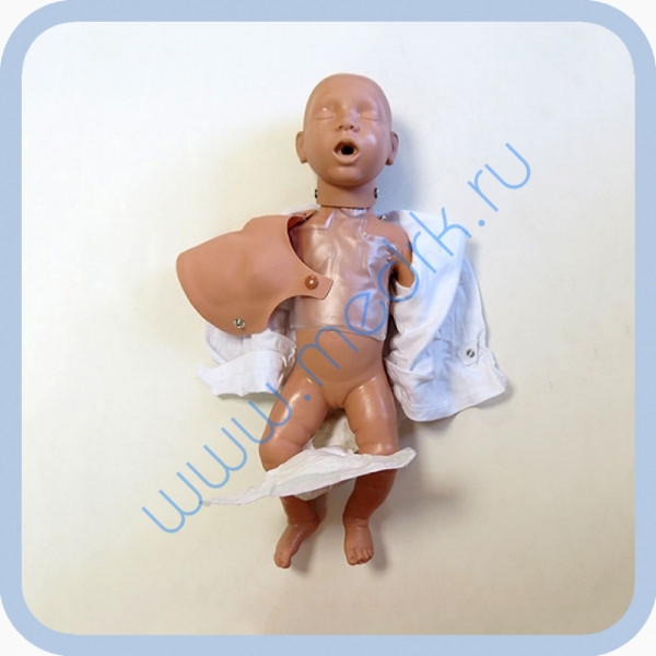 Манекен новорожденного W44541 для обучения реанимации  Вид 4