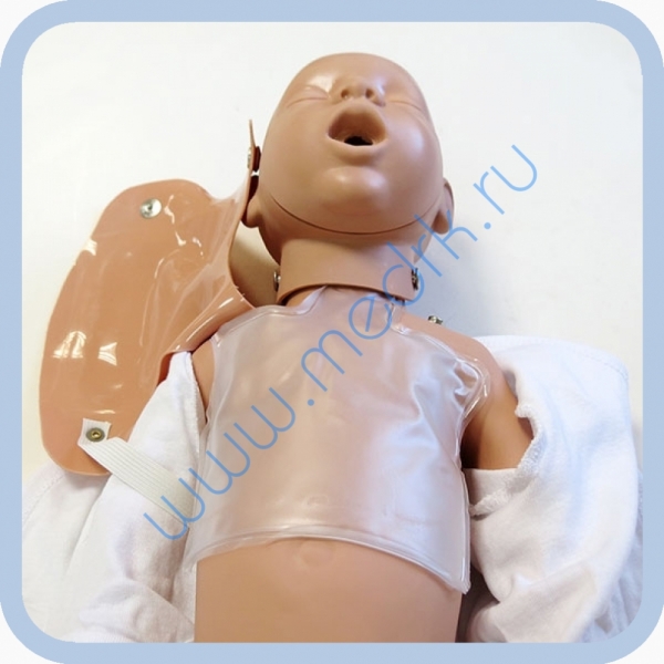 Манекен новорожденного W44541 для обучения реанимации  Вид 5