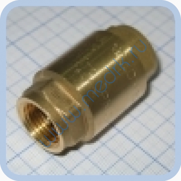 Клапан обратный 1/2″ для стерилизатора ГК-100-5  Вид 5
