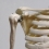 Макет скелета человека 85 см на подставке  Вид 2