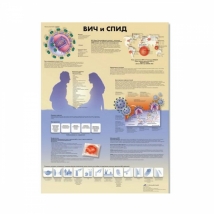 Плакат медицинский ВИЧ и СПИД 3B Scientific