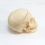 Модель черепа классическая A21 пронумерованная  Вид 3