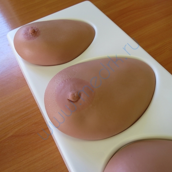 Модель для обучения самообследованию молочной железы  Вид 3