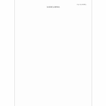 Медицинская карта стационарного больного, форма № 003/у, 6 л., офсет, А4 (210х297 мм), белая    Вид 8