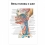Вены и артерии головы и шеи — медицинский плакат  Вид 1