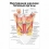 Внутренние женские половые органы — медицинский плакат  Вид 1